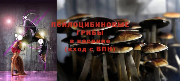 прущие крисы Верея