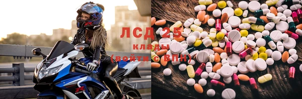 прущие крисы Верея